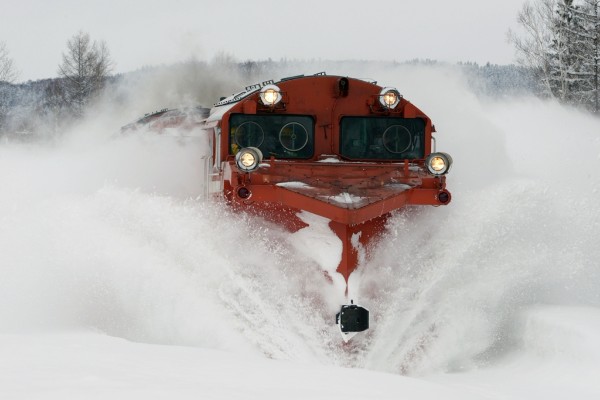 雪を蹴散らす姿がたまらないという（撮影：谷口氏）