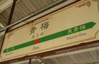 「青梅」は「おうめ」。では「青海」は？