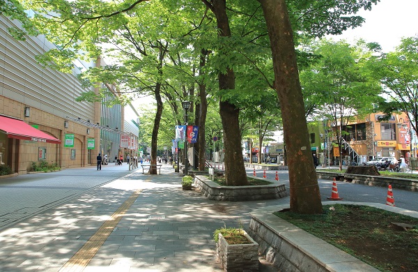 駅前の並木道は市民の憩いの場