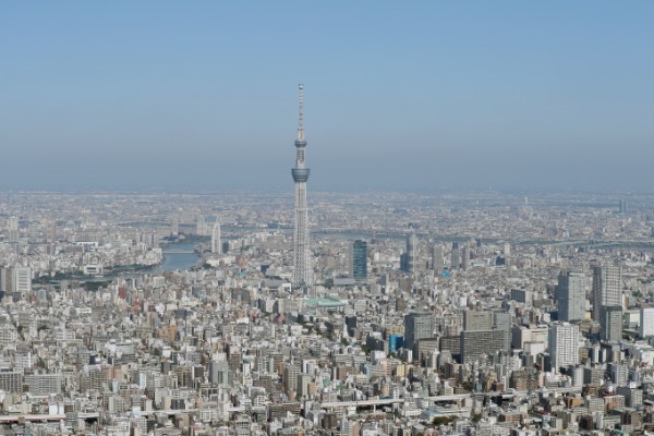 スカイツリー効果もあって不動産市場も下町ブームに