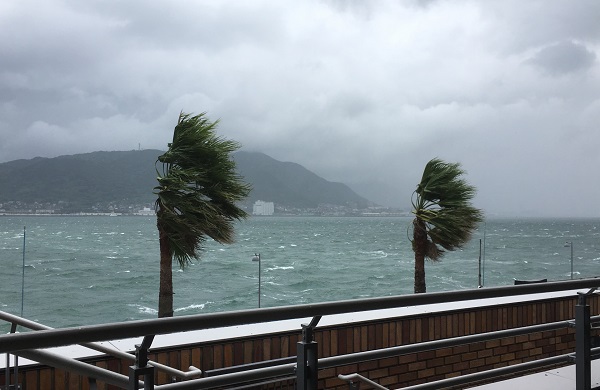 台風への備えを怠ったときの責任は？（イメージ）