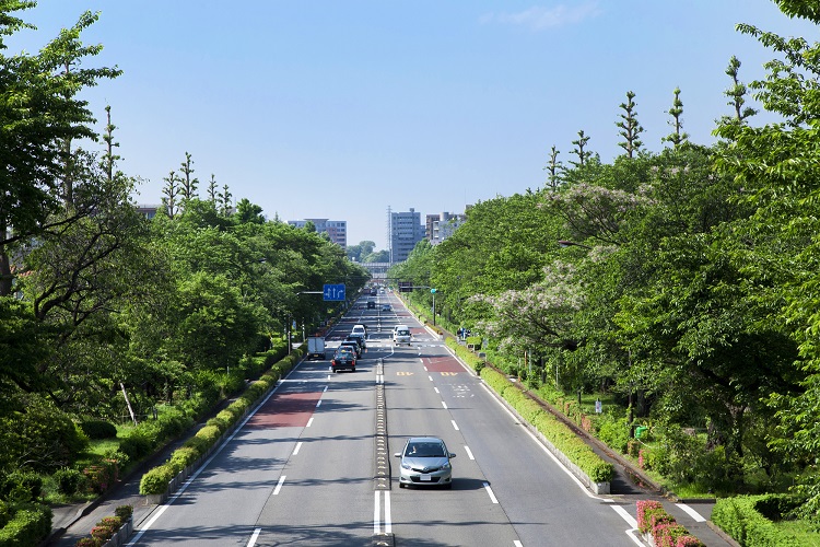 気持ちの良い散歩コースがある街はやっぱり最高