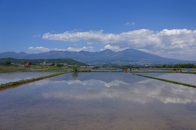 佐久市は地震が少なく、山に囲まれていることから台風の被害も受けにくいという