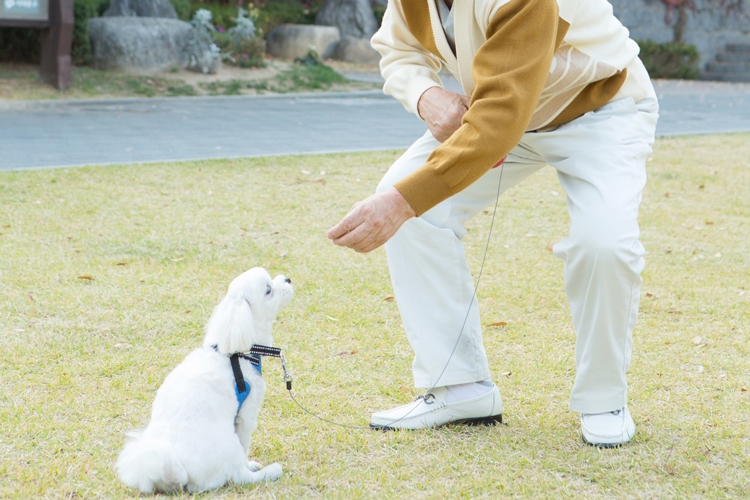 ペットを飼うなら治療費も念頭に（イメージ）