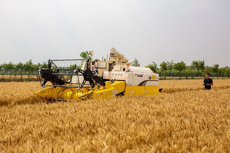 インターネットを活用して生産性を高める中国の農業事情は（Getty Images）