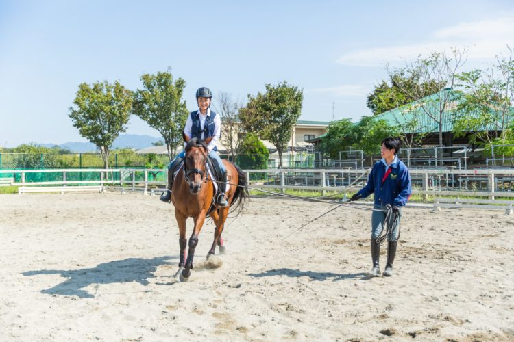 乗馬は都内でも気軽に体験できる