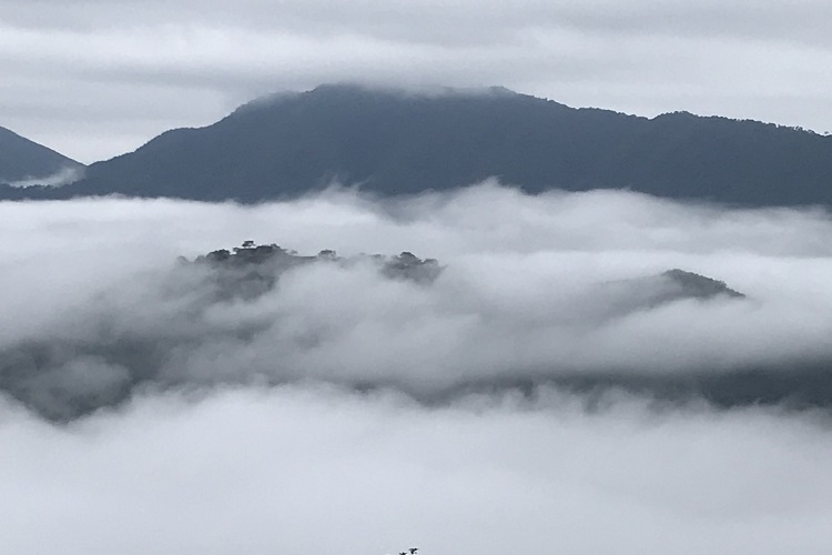 朝霧に包まれた竹田城跡