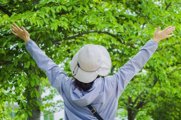 老後の一人暮らしを豊かに生きる秘訣とは（イメージ）