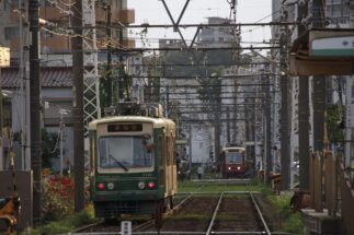 都電荒川線を「東京さくらトラム」と呼び慣れない人も多い？