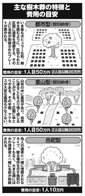 都市型、里山形、合祀型…「主な樹木葬」それぞれの特徴と費用の目安（イラスト／藤井昌子）