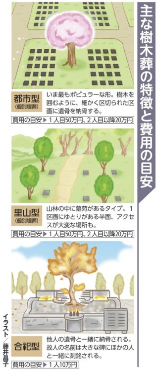 「都市型」「里山型」「合祀型」主な樹木葬の特徴と費用の目安