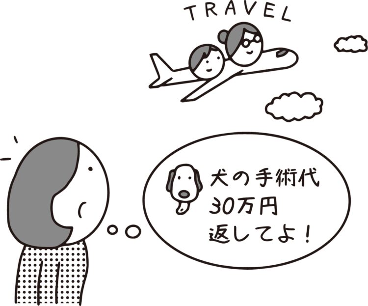 借金返済しないまま旅行を楽しんでいる姉に複雑な心境…（イラスト／大野文彰） 