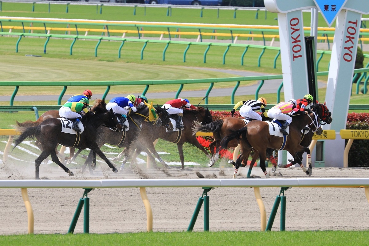 コロナ禍で新たな競馬ファンも続々と誕生（イメージ）