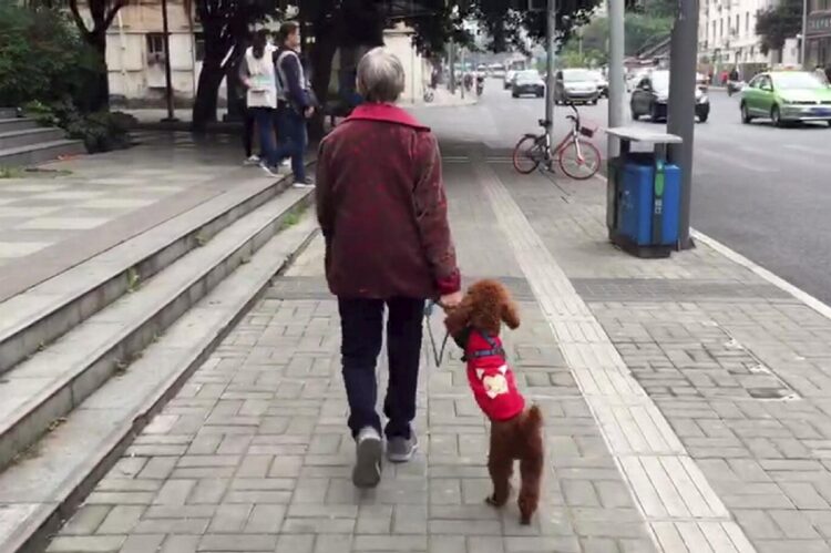 中国政府が主導する少子高齢化対策とは（写真：アフロ）