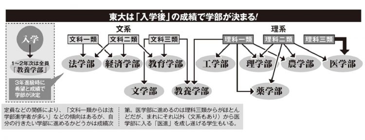 東大は「入学後」の成績で学部が決まる。文科一類～理科三類まで、それぞれの主な進路は？