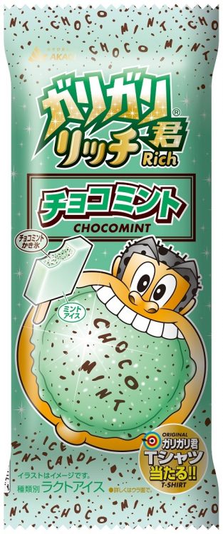 ガリガリ君リッチチョコミント