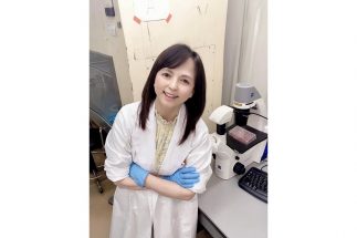 早稲田に所属しながら、東京大学大学院農学生命科学研究科の特別研究生として研究中（いとうまい子）