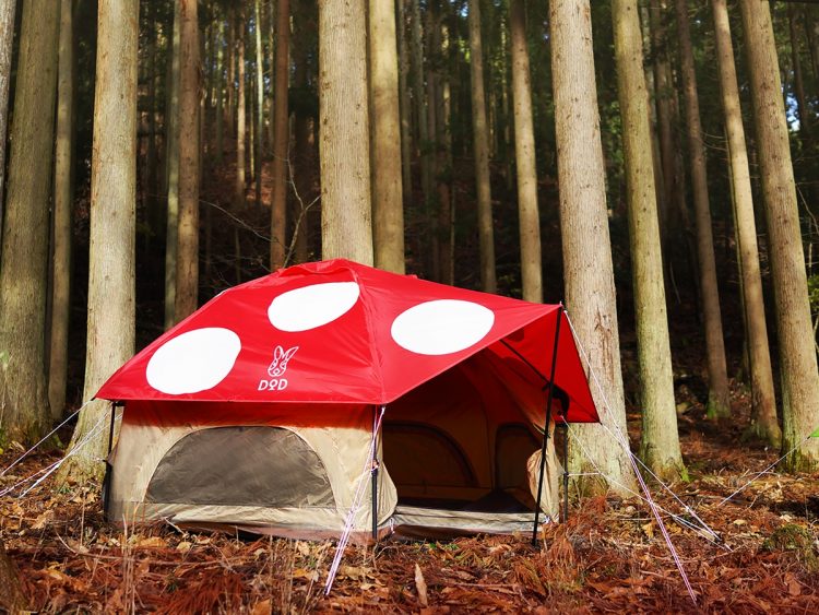 秋キャンプにおすすめかわいいキノコ柄テント