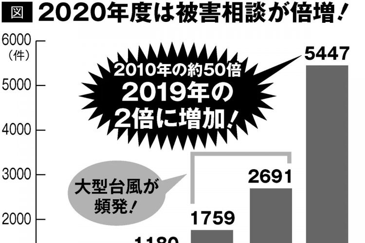 2020年度は「保険詐欺」の被害相談が倍増