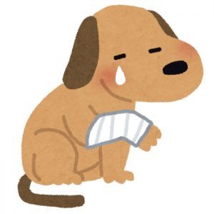 愛犬の治療費を請求できるか？（イメージ）