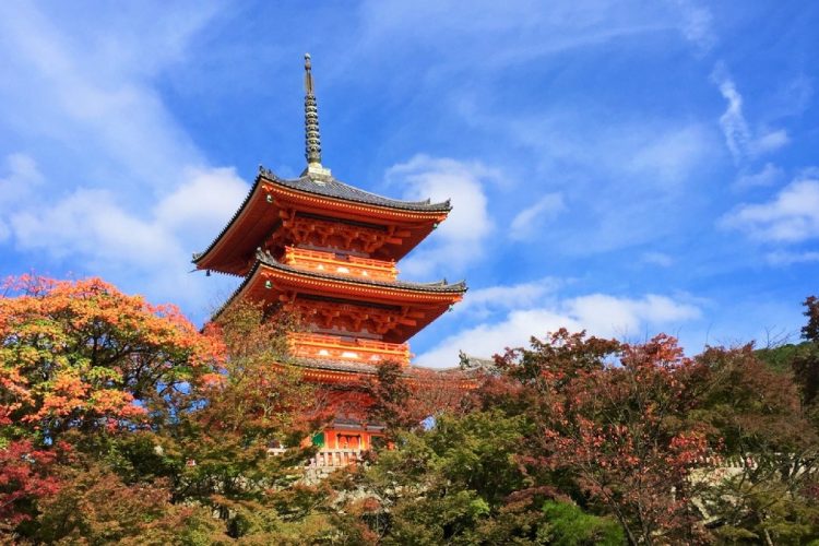 紅葉に映える京都・清水寺の五重塔