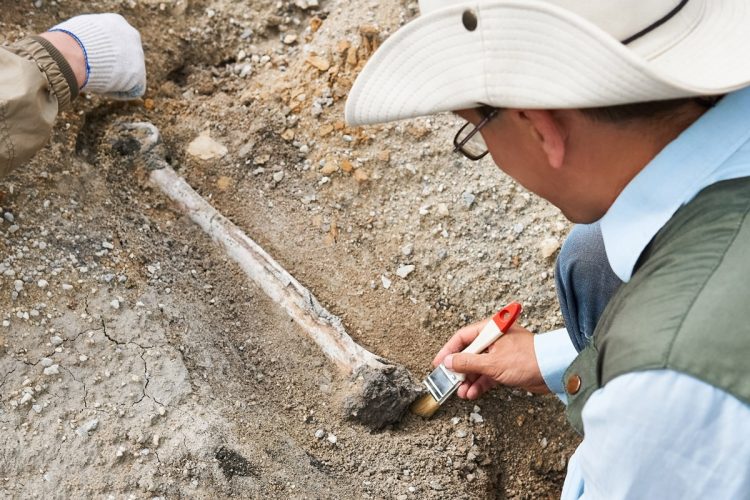 遺跡発掘補助員は歳を重ねた人も参加でき、人気が高いという（イメージ。Getty Images）