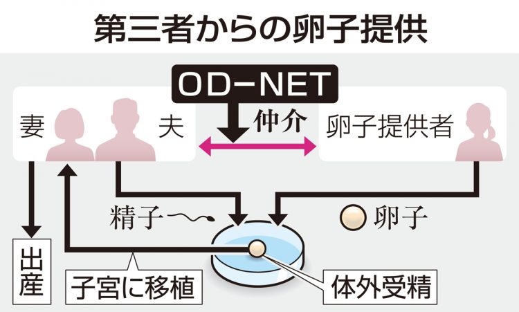 OD-NETは、第三者からの卵子の提供を無償で仲介する（提供／共同通信社）