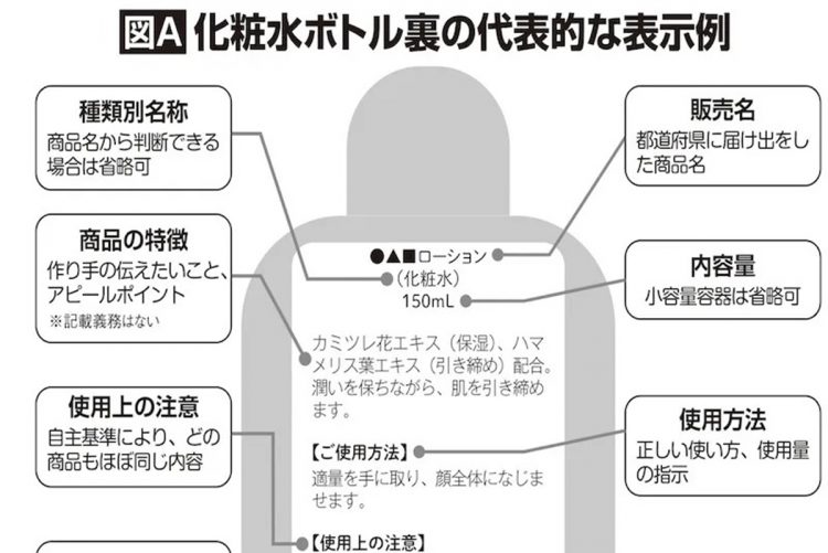 化粧品ボトル裏の代表的な表示例