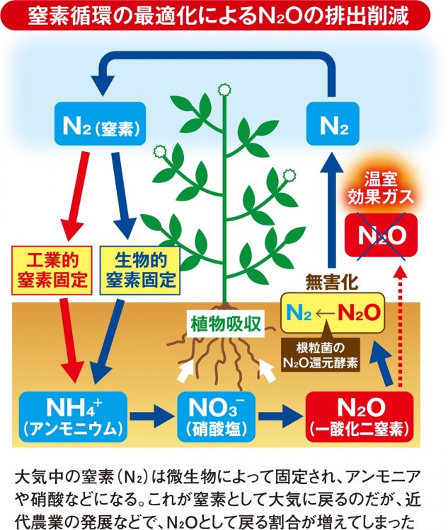 窒素循環の最適化によるN2Oの排出削減