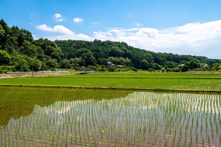 田園風景も広がる埼玉県鳩山町が「幸福度ランキング」1位になった背景は？