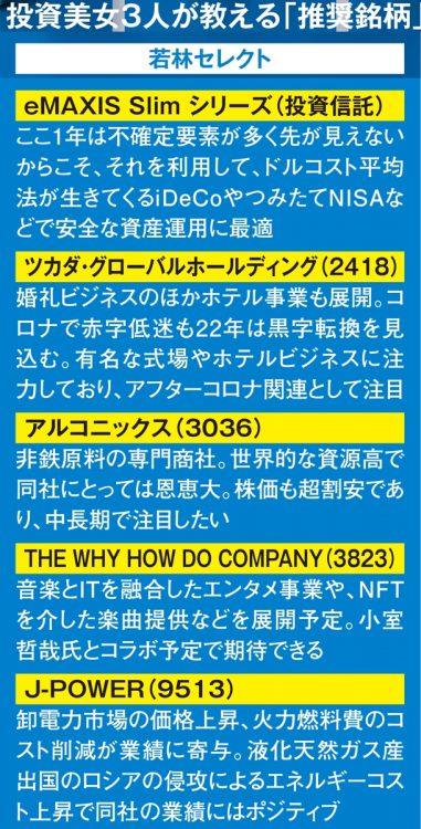 若林史江氏が注目する銘柄