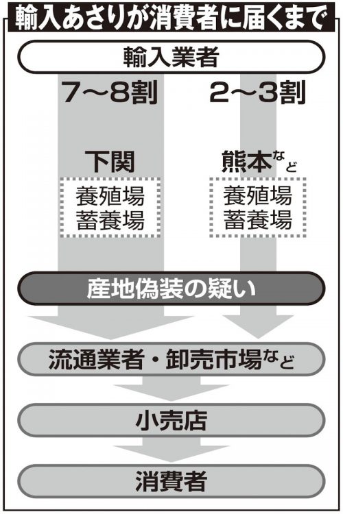 輸入あさりが消費者に届くまで