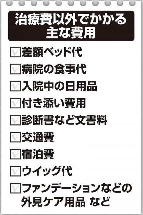 治療費以外でかかる主な費用