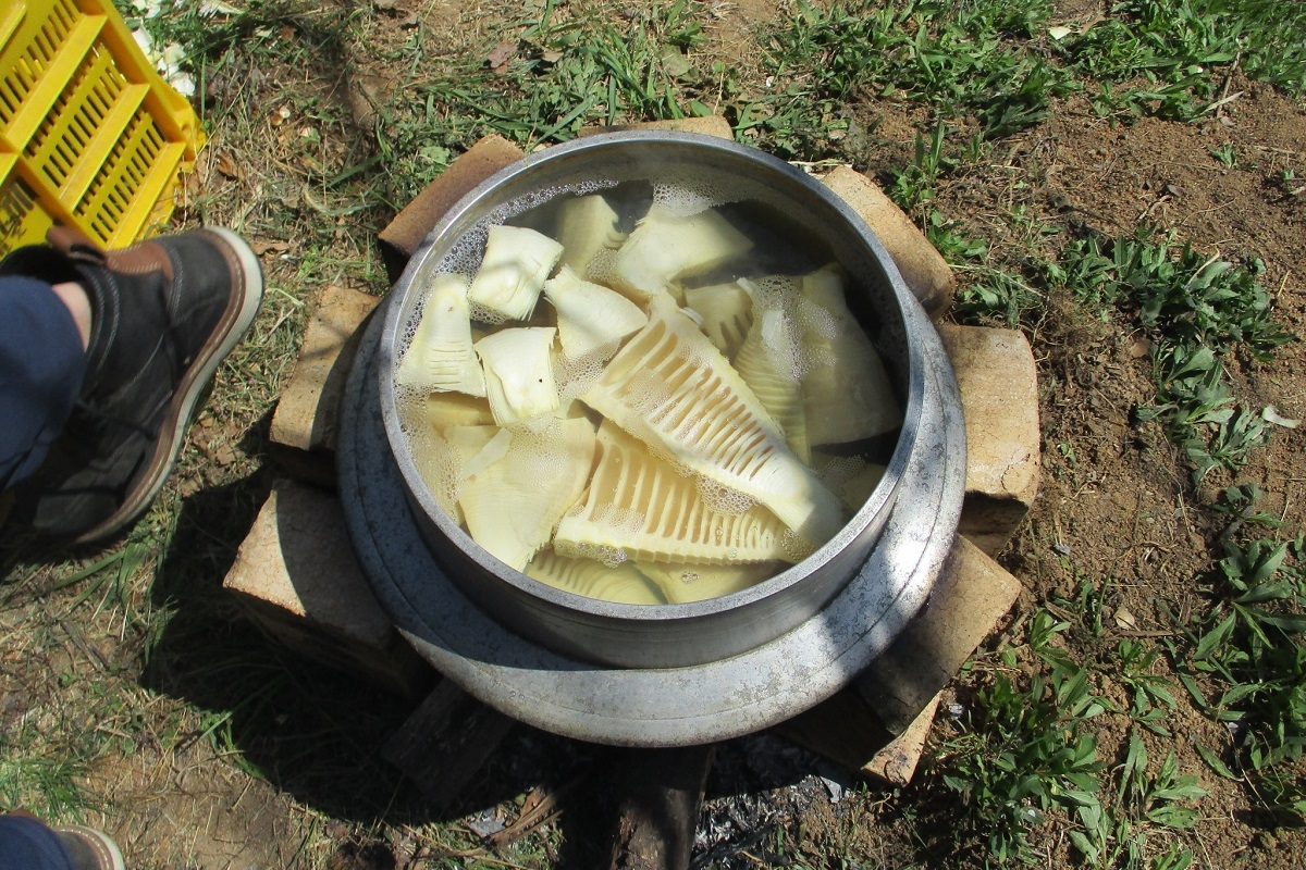 新鮮なタケノコを早速茹でる横で酒を飲む幸せ