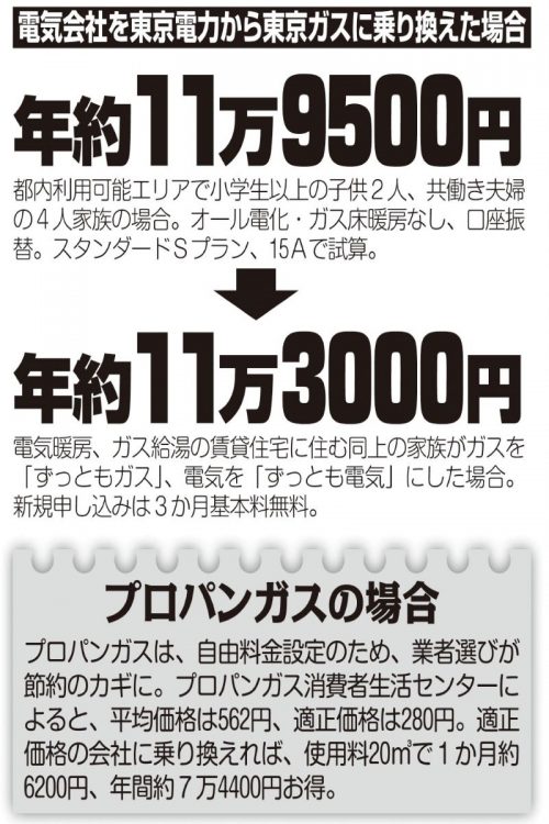 電気会社を東京電力から東京ガスに乗り換えた場合の例