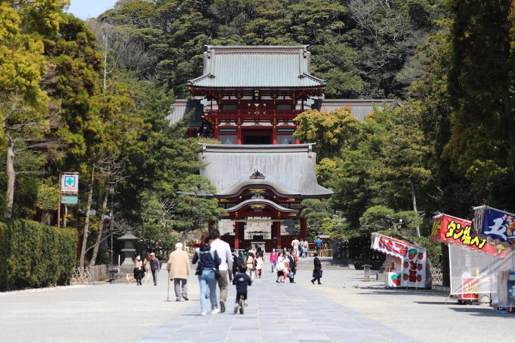 源頼朝ゆかりの鶴岡八幡宮（時事通信フォト）