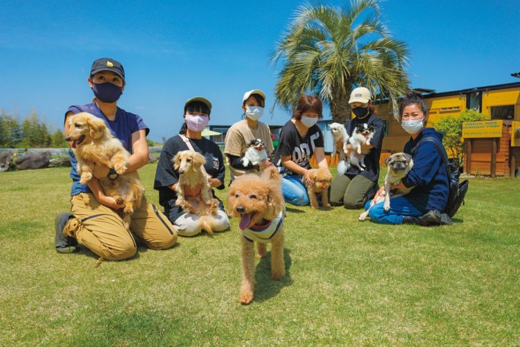 高齢ペットの介護をケアする施設も増えている（写真は老犬ホーム＆ペットホテル 九十九里。撮影／内海裕之）