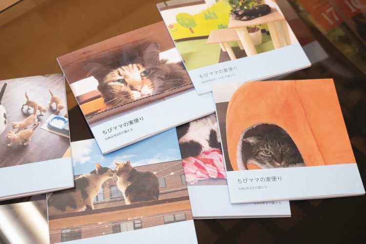 広告代理店社長でもある代表の高岸さんはカメラで猫たちの日常を撮影し、自ら編集・デザインする小冊子を年3～4回作って元の飼い主に贈っている（撮影／佐藤敏和）