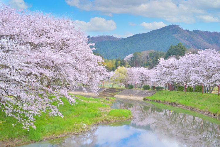 川沿いならではの良さも（イメージ）