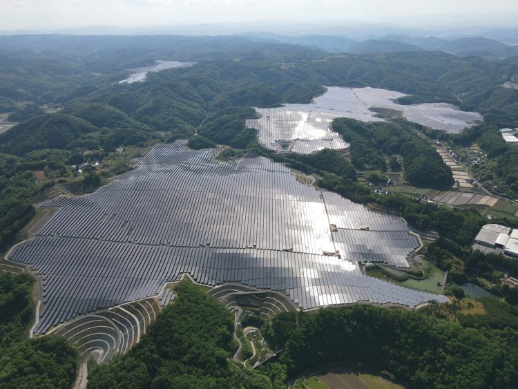 自然保護との両立を目指す「パシフィコ・エナジー作東メガソーラー発電所」（岡山県美作市。撮影／太田真三）