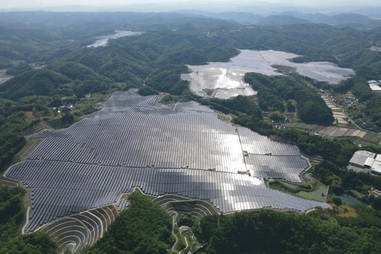 自然保護との両立を目指す「パシフィコ・エナジー作東メガソーラー発電所」（岡山県美作市。撮影／太田真三）