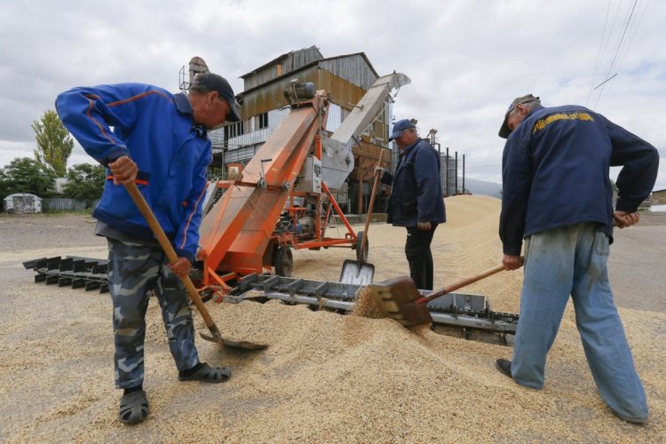 穀倉地帯であるウクライナの危機によって小麦価格も高騰している（EPA=時事）