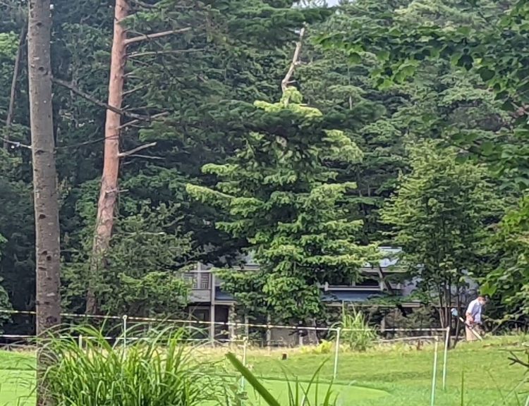 安倍氏は様々な土地を保有していた