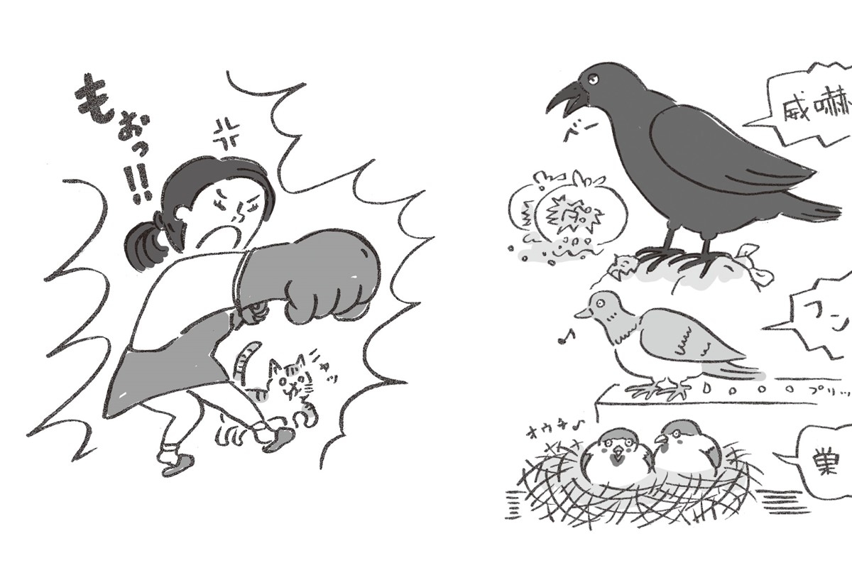 ゴミやフンなどの 鳥害 から生活を守るために 専門家が教える鳥の撃退法 マネーポストweb