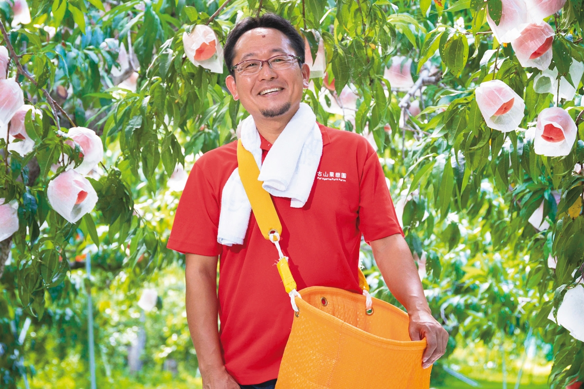 1玉300万円！元エンジニアが「世界一甘い桃」で目指す“福島の桃の復権” | マネーポストWEB