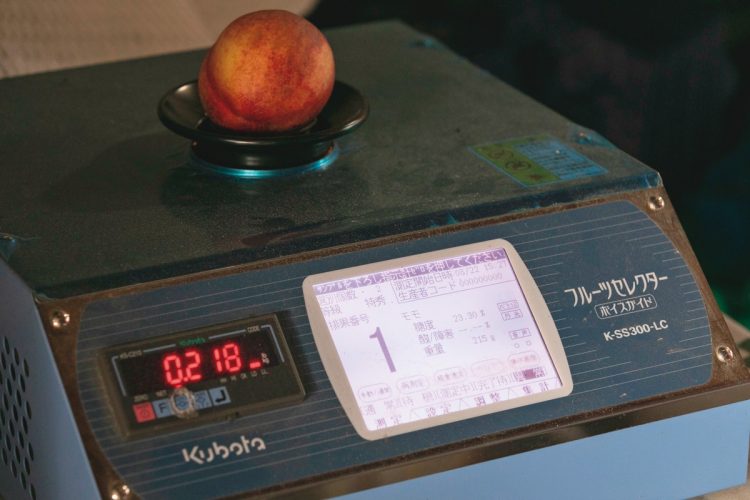 「軽自動車が買える値段」（古山氏）の非破壊糖度計。桃を上に載せると糖度と重量が検出される。桃専用にデータ設定された特注品