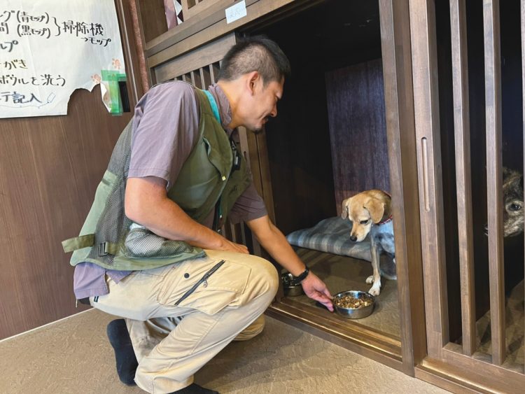 散歩を終えると次は食事の世話。食後はケージで30分ほど食休みをさせる