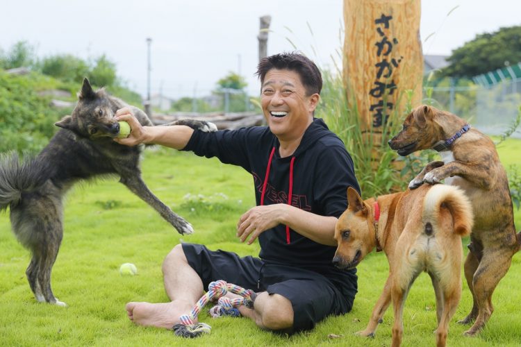 保護犬や猫たちと楽しく暮らす