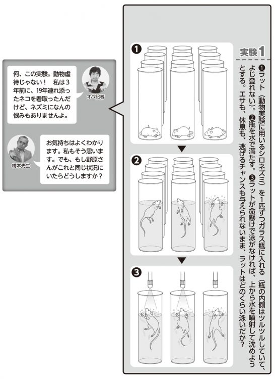 ラットの実験【1】