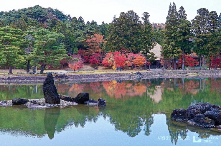 東日本の世界遺産を巡る旅なども（「平泉」の遺跡群の1つ、毛越寺。写真提供／岩手県観光協会）